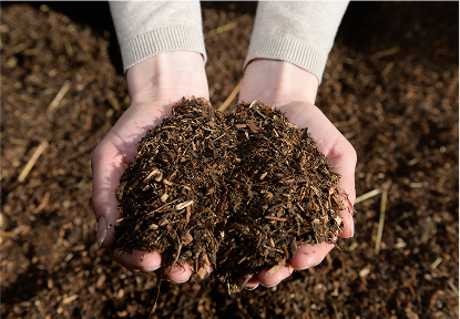 Bio-Waldboden Kategorie